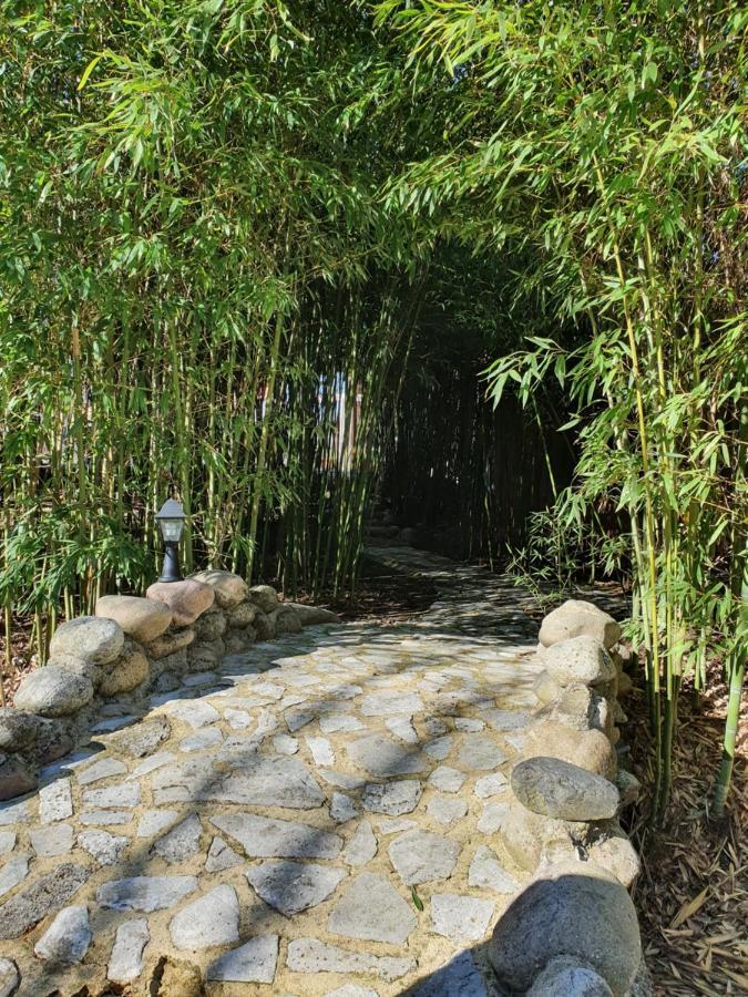 Lou Visetto A Vallon-Pont-D'Arc Ngoại thất bức ảnh